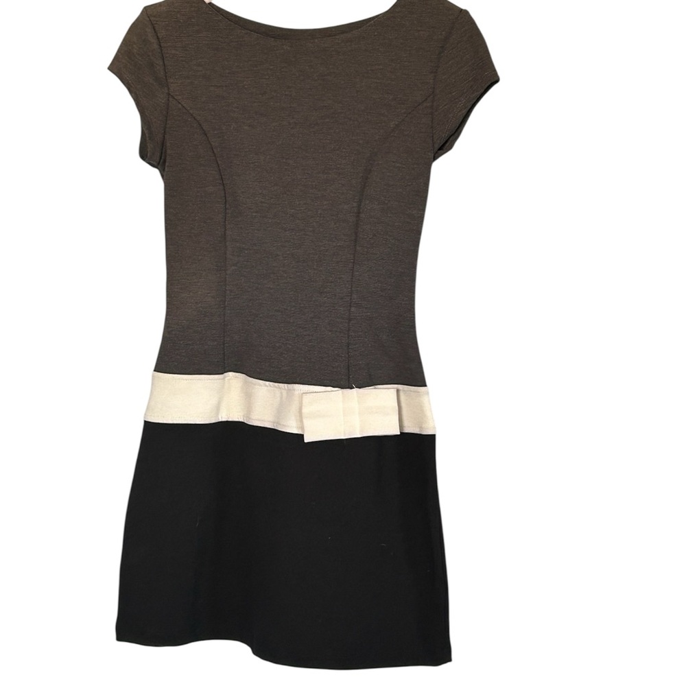Chic Colorblock Mini Dress in Gray and Black
